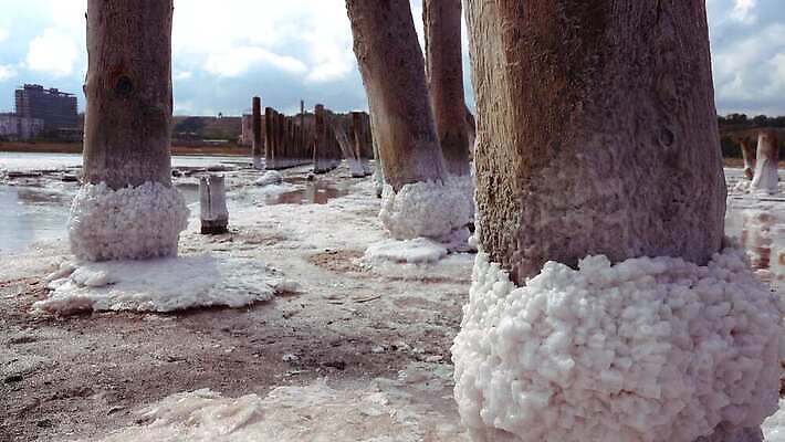 호수 바다 백그라운드 자연 풍경 사람없음 야외 물 바위 흰색 약초 크리스탈 휴양지 진흙 결정체 지구온난화 내추럴 우크라이나 짠맛 오데사 4K MP4 해외동영상 클립영상 자연요소 유럽 컬러 장소 돌_바위 풀_식물 맛 광석 생태계 동영상 기후변화 파일형식