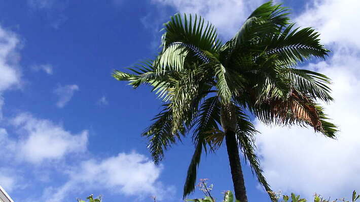 해외 모래 바다 섬 여행 건축양식 자연 휴가 영국 협상 사람없음 건물 여행객 침묵 만 역사 산호초 조선소 박물관 영토 해군 타운 대서양 다도해 랜드마크 식민지 이국적 터키석 파라다이스 4K MOV 해외동영상 클립영상 건축물 건축 유럽 산업 비즈니스 군대 사람 소리 도시 수중식물 보석 생태계 동영상 파일형식