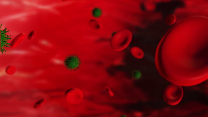 과학 백그라운드 신체 해부 자연 생물 세포 건강 병원 사람 사람없음 빨간색 약 3D 흐름 의사 개울 혈액 바이러스 질병 DNA 시원함 생물학 미생물 염색체 애니메이션 암 동맥 정맥 전염병 코로나바이러스 4K MOV 해외동영상 클립영상 교육 컬러 컨셉 의학 강 의료진 생명공학 디지털합성 생태계 혈관 동영상 파일형식