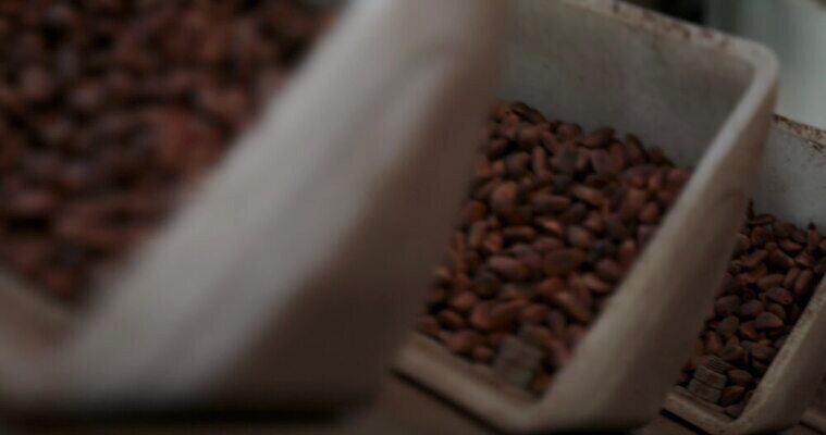 식물 전통 음식 백그라운드 농업 다이어트 재료 자연 건조 건강 씨앗 사람없음 갈색 견과류 흰색 신선 소나무 그룹 굽기 유기농 질감 회전 날것 흙더미 내추럴 고립 삼나무 식용 4K MOV 해외동영상 클립영상 나무 웰빙 산업 컬러 흙 구이 생태계 동영상 파일형식 더미