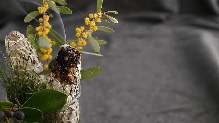 줄 요가 휴식 사람없음 치료 장식 미국 에너지 약재 흰색 의식 분위기 닫기 연기 약초 샌들 신비 인도인 청소 향신료 명상 보따리 향기 신성 향 마법 아로마테라피 연소 세이지 예언자 자연요법 4K MP4 해외동영상 클립영상 외국인 웰빙 컬러 신발 컨셉 북아메리카 의학 모션 동양인 약 풀_식물 냄새 테라피 동영상 향미료 파일형식