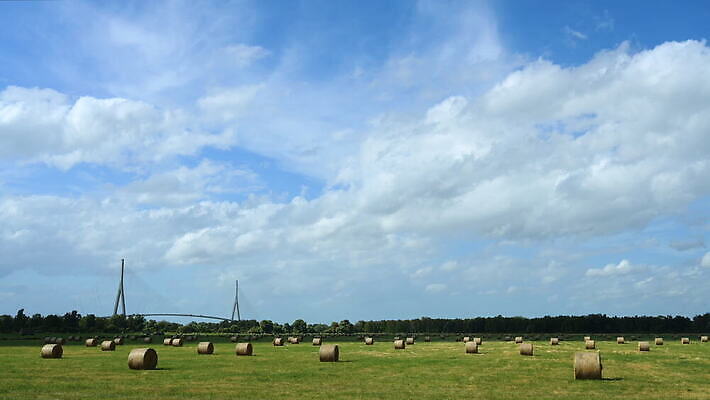 밭 농업 하늘 사람없음 야외 프랑스 농촌 시골 볏짚 뭉치 노르망디 4K 타임랩스 MOV 해외동영상 클립영상 유럽 산업 촬영기법 짚 동영상 파일형식
