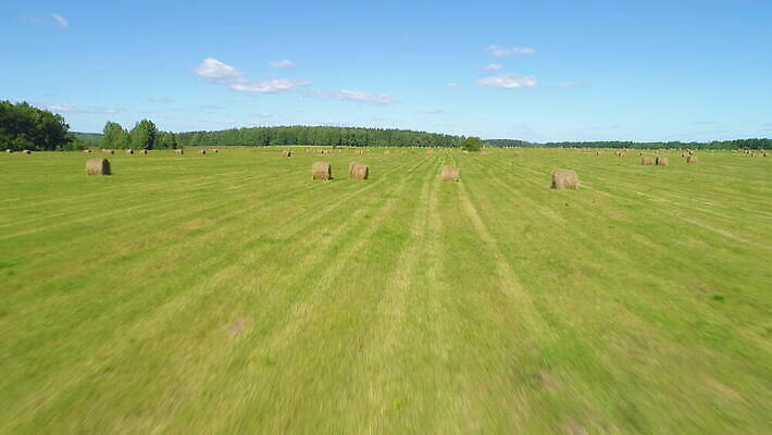 나무 밭 농업 자연 하늘 안테나 풍경 초원 사람없음 초록색 여름 파란색 농작물 농장 노란색 맑음 수확 가을 시골 황금 건초더미 볏짚 숲 낟알 땅 밀 각도 뭉치 밀짚 내추럴 드론 4K MOV 해외동영상 클립영상 식물 계절 산업 컬러 통신 날씨 곡류 건초 짚 생태계 동영상 파일형식 더미