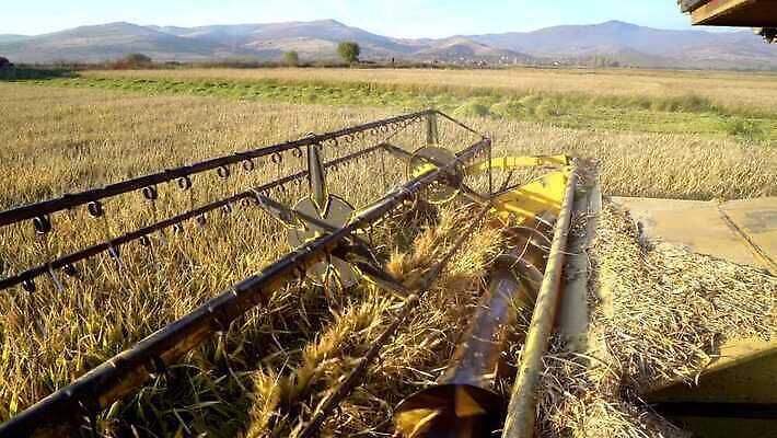 식물 직업 산업 음식 빵 밭 농업 자연 하늘 사람없음 야외 건물 파란색 태양 농장 노란색 기계 장비 수확 시골 칼날 운전사 황금 농부 결합 낟알 땅 자르기 밀 굽기 수집 밀가루 밭일 사일로 숙성 4K MP4 해외동영상 클립영상 자연요소 건축물 컬러 모션 곡류 가루 구이 생태계 동영상 파일형식
