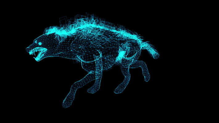 동물 공원 야생동물 포즈 백그라운드 포유류 모션 아프리카 자연 프레임 사람없음 야외 걷기 산책 사막 황무지 우아함 위험 속도 생물학 육식동물 철사 애니메이션 내추럴 고립 동물상 사바나 와이어프레임 크로마키 MOV 해외동영상 클립영상 공공시설 교육 나라 컨셉 휴식 조형물 생태계 동영상 파일형식