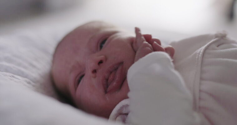 백인 여자 어린이 가정 가족 잉글랜드 실내 한명 기댐 희망 외침 슬픔 아기 좌절 요크셔테리어 시작 돌봄 천진난만 4K MOV 해외동영상 클립영상 서양인 1 감정 컨셉 관계 모션 영국 사람 내부 소리 테리어 동영상 파일형식