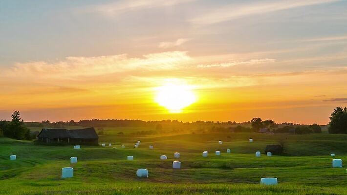 나무 계절 도로 여행 밭 농업 자연 하늘 주택 잔디 사람없음 초록색 햇빛 태양 농장 일출 맑음 일몰 봄 시골 볏짚 땅 언덕 장면 시에나 토스카나 수평선 4K 타임랩스 MP4 해외동영상 클립영상 자연요소 식물 산업 길 컬러 교통시설 날씨 촬영기법 건물 노을 이탈리아 짚 생태계 동영상 파일형식