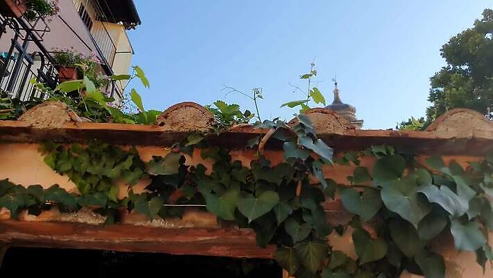 전통 외관 유럽 종교 여행 하늘 사람없음 야외 건물 장식 파란색 성당 교회 탑 이탈리아 바위 중세 역사 그림 대성당 모자이크 첨탑 천연기념물 고딕 랜드마크 세기 옛날 토스카나 4K MP4 해외동영상 클립영상 건축물 나라 컬러 종교건축 모션 돌_바위 동영상 파일형식