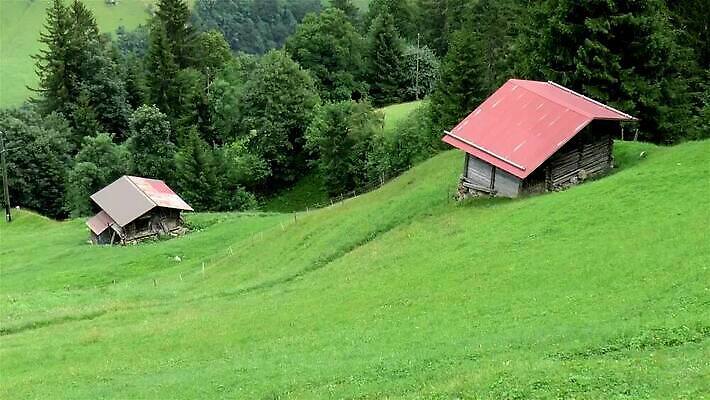 나무 자연 산 파노라마 경사 사람없음 초록색 평화 계곡 침묵 소나무 고도 스위스 알프스 헛간 고립 베른 MP4 해외동영상 클립영상 식물 유럽 컬러 컨셉 촬영기법 소리 생태계 저장고 동영상 파일형식