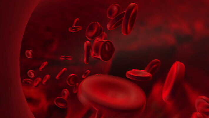 과학 백그라운드 신체 해부 자연 생물 세포 건강 병원 사람 사람없음 빨간색 약 3D 흐름 의사 개울 혈액 바이러스 질병 DNA 시원함 생물학 미생물 염색체 애니메이션 암 동맥 정맥 전염병 코로나바이러스 4K MOV 해외동영상 클립영상 교육 컬러 컨셉 의학 강 의료진 생명공학 디지털합성 생태계 혈관 동영상 파일형식