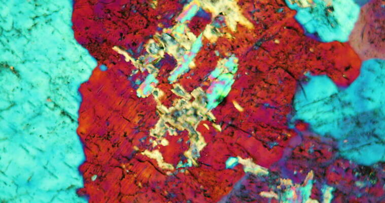 컬러 과학 현미경 사람없음 파란색 빛 컬러풀 갈색 확대 제비꽃 지역 암초 지질학 화강암 4K 현미경관찰 MOV 해외동영상 클립영상 교육 꽃 실험기구 암석 관찰 동영상 파일형식