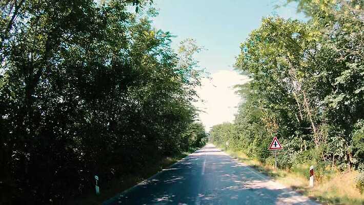 나무 계절 공원 유럽 도로 길 여행 백그라운드 잎 교통시설 자연 하늘 풍경 사람없음 야외 초록색 여름 파란색 평화 맑음 어둠 침묵 운전 낭만 나뭇가지 시골 터널 분위기 숲 아치 장면 아일랜드 마법 내추럴 방법 삼림지대 선로 옛날 1인칭시점 4K MP4 해외동영상 클립영상 식물 시선 공공시설 나라 컬러 교통 컨셉 모션 날씨 소리 시설 생태계 동영상 파일형식