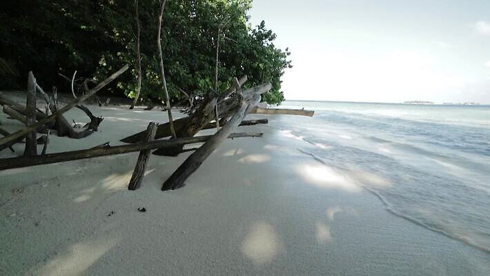 아시아 모래 파도 바다 섬 여행 백그라운드 자연 하늘 휴가 휴식 손바닥 해변 사람없음 야외 물 파란색 야자수 맑음 흰색 휴양지 하와이 코코넛 몰디브 도미니카공화국 마이애미 바하마 이국적 터키석 파라다이스 MOV 해외동영상 클립영상 자연요소 나무 손 나라 컬러 컨셉 과일 날씨 미국 장소 남아메리카 보석 생태계 동영상 파일형식
