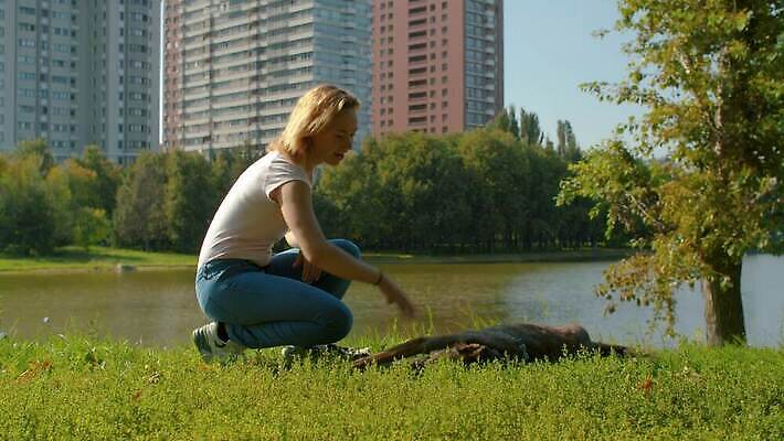동물 공원 여자 행복 호수 자연 휴식 함께함 사랑 한명 사람 야외 초록색 친구 반려동물 귀여움 만지기 개 만족 주인 송곳니 내추럴 돌봄 복종 충실 타격 4K MOV 해외동영상 슬로모션 클립영상 1 공공시설 감정 컬러 컨셉 포유류 관계 모션 촬영기법 치아 생태계 동영상 파일형식