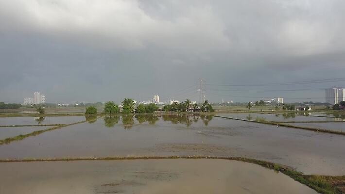 식물 계절 아시아 지구 백그라운드 잎 농업 자연 안테나 씨앗 동양인 풍경 사람없음 야외 초록색 물 농작물 농장 농경지 환경 봄 수확 시골 신선 땅 내추럴 논밭 밭일 숙성 4K MOV 해외동영상 클립영상 자연요소 나라 산업 컬러 밭 통신 논 인종 생태계 동영상 파일형식