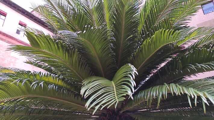 외관 유럽 여행 건축양식 하늘 벽돌 풍경 사람없음 야외 내부 건물 물 파란색 도시풍경 여행객 탑 이탈리아 궁전 도시 성 센터 중세 역사 재산 저녁 타운 천연기념물 랜드마크 세기 옛날 4K MP4 해외동영상 클립영상 자연요소 건축물 건축 나라 컬러 고건축 모션 사람 금융 야간 동영상 파일형식