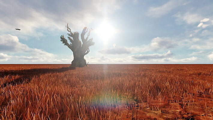 나무 식물 공원 야생동물 모래 여행 백그라운드 아프리카 자연 하늘 휴가 사람없음 야외 빨간색 태양 맑음 미국 사막 황무지 사파리 케냐 내추럴 나미비아 사바나 MOV 해외동영상 클립영상 자연요소 동물 공공시설 나라 컬러 북아메리카 날씨 생태계 동영상 남아프리카 파일형식