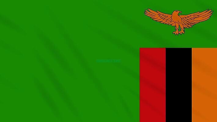 과학 백그라운드 오렌지 건강 사람없음 치료 초록색 약 자유 깃발 고리 바이러스 질병 디지털합성 예방 생물학 감염 독수리 미생물 애니메이션 우표 그런지 돌리기 백신 부정적 잠비아 전염병 증상 치유 항생제 사스 코로나바이러스 4K MOV 해외동영상 클립영상 교육 감정 컬러 컨셉 과일 의학 모션 아프리카 조류 생물 동영상 파일형식