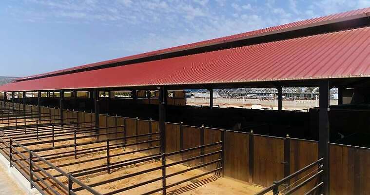 동물 라이프스타일 디자인 도로 야생동물 스포츠 건축양식 포유류 자연 부동산 주택 사람없음 야외 가로 초록색 울타리 운동 농가 농경지 가축 목장 시골 황무지 승마 재산 카우보이 승차 큼 기수 외양간 되감기 라이더 서쪽 오지 조감도 4K MOV 해외동영상 클립영상 건축 길 컬러 교통시설 모션 건강 건물 생활 금융 담장 농장 크기 방향 생태계 동영상 파일형식