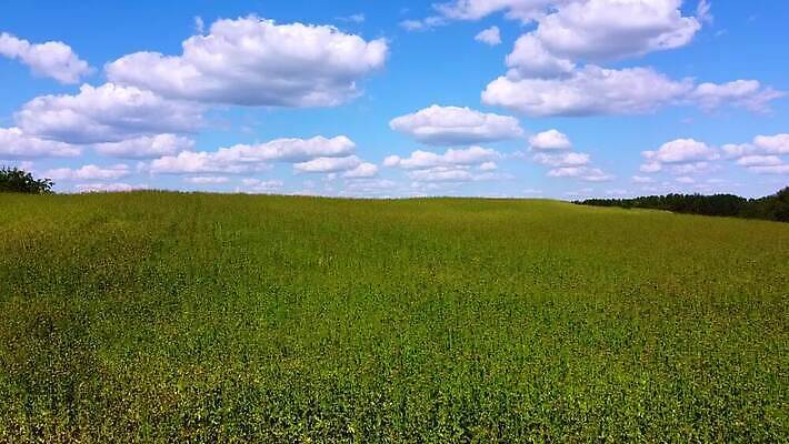 나무 식물 구름 계절 유럽 호수 여행 백그라운드 밭 농업 자연 하늘 날씨 안테나 파노라마 풍경 초원 사람없음 야외 초록색 물 여름 파란색 강 태양 노란색 환경 계곡 맑음 일몰 시골 숲 땅 내추럴 드론 생태학 수평선 MOV 해외동영상 클립영상 자연요소 교육 나라 산업 컬러 통신 촬영기법 노을 생태계 동영상 파일형식