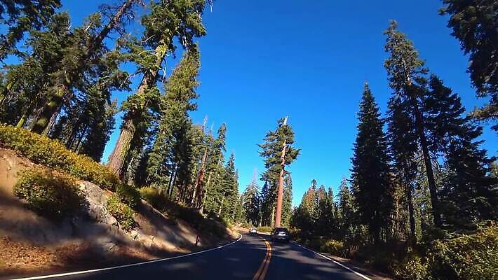 나무 공원 도로 여행 백그라운드 자동차 자연 하늘 불 휴가 산 국립공원 풍경 사람없음 야외 물 여름 파란색 계곡 미국 하이킹 운전 고속도로 숲 아스팔트 캘리포니아 내추럴 랜드마크 요세미티국립공원 전국 MOV 해외동영상 클립영상 자연요소 식물 계절 공공시설 길 육상교통 컬러 북아메리카 교통시설 모션 레저 생태계 동영상 파일형식