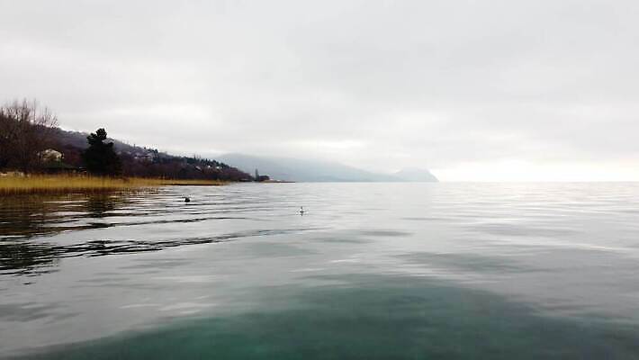 식물 동물 유럽 호수 여행 자연 조류 표면 휴가 산 바닥 오리 안테나 빨대 사람없음 야외 물 파란색 강 반사 노란색 평화 환경 침묵 연못 신선 장면 암초 북쪽 밀짚 드론 마케도니아 발칸반도 4K MP4 해외동영상 클립영상 자연요소 나라 컬러 컨셉 통신 소리 짚 방향 생태계 동영상 파일형식 남유럽