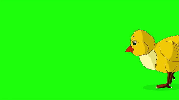 동물 템플릿 디자인 교육 야생동물 컬러 백그라운드 자연 조류 동물원 병아리 사람없음 농장 산책 만화 자르기 생물학 애니메이션 까마귀 수탉 고립 동물상 생태학 반복 크로마키 4K MOV 해외동영상 클립영상 농업 모션 휴식 조형물 닭 수컷 생태계 동영상 파일형식