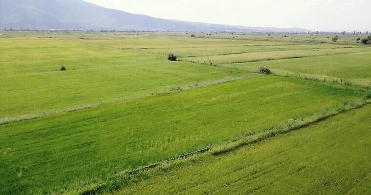 계절 아시아 여행 백그라운드 밭 농업 자연 하늘 풍경 사람없음 야외 초록색 여름 농작물 태양 농장 일출 환경 일몰 봄 시골 저녁 땅 언덕 내추럴 항공촬영 드론 수평선 4K MP4 해외동영상 클립영상 자연요소 나라 산업 뷰포인트 컬러 노을 야간 생태계 동영상 파일형식