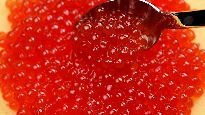 음식 오렌지 재료 건강 어류 사람없음 빨간색 숟가락 식사 흰색 신선 고급 아침식사 먹기 해산물 날것 연어 팬케이크 고립 짠맛 캐비아 맛있는 MOV 해외동영상 클립영상 컬러 컨셉 과일 식재료 모션 수저 케이크 수중동물 맛 동영상 파일형식