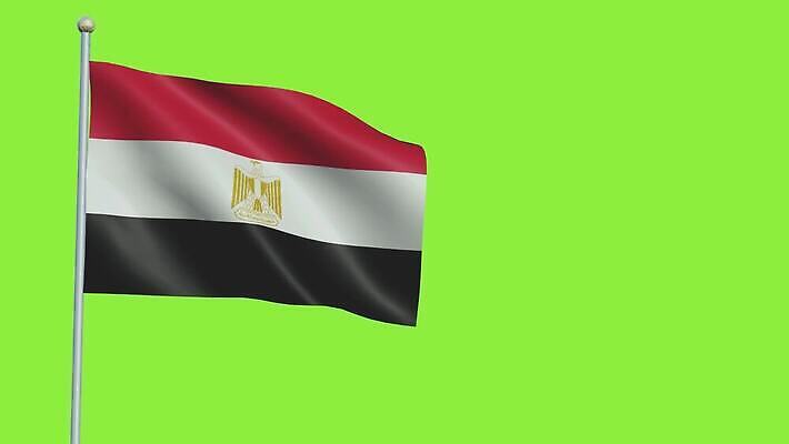 아이콘 배너 백그라운드 모션 날리기 바람 실내 이집트 사람없음 빨간색 초록색 3D 스크린 미니어처 깃발 심볼 사인 깃대 봉 느림 녹색배경 애국심 고립 전국 정부 크로마키 4K MOV 해외동영상 클립영상 자연요소 컬러 아프리카 날씨 내부 모형 디지털합성 동영상 파일형식