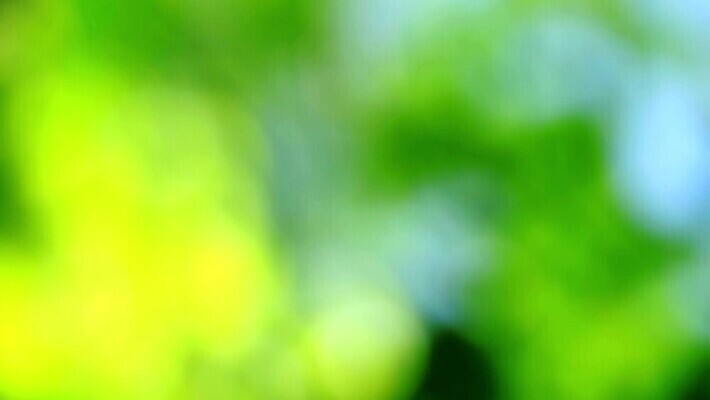 디자인 모래 벽 파도 바다 컬러 섬 여행 백그라운드 패턴 오렌지 모션 자연 표면 추상 휴식 사람없음 야외 빨간색 물 여름 파란색 빛 햇빛 태양 반사 일출 수중 일몰 페인트 젖음 흰색 신선 액체 매끈함 당구 질감 보케 각도 부드러움 천국 내추럴 블러 MOV 해외동영상 클립영상 자연요소 계절 컨셉 무늬 과일 구기 노을 감각 생태계 동영상 파일형식