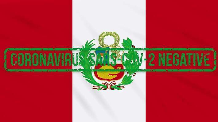 과학 백그라운드 신체 세포 건강 사람없음 치료 초록색 약 자유 깃발 고리 바이러스 질병 디지털합성 예방 생물학 감염 미생물 애니메이션 우표 박테리아 돌리기 백신 부정적 전염병 증상 치유 페루 항생제 사스 코로나바이러스 4K MOV 해외동영상 클립영상 교육 감정 컬러 컨셉 의학 모션 생물 남아메리카 동영상 파일형식