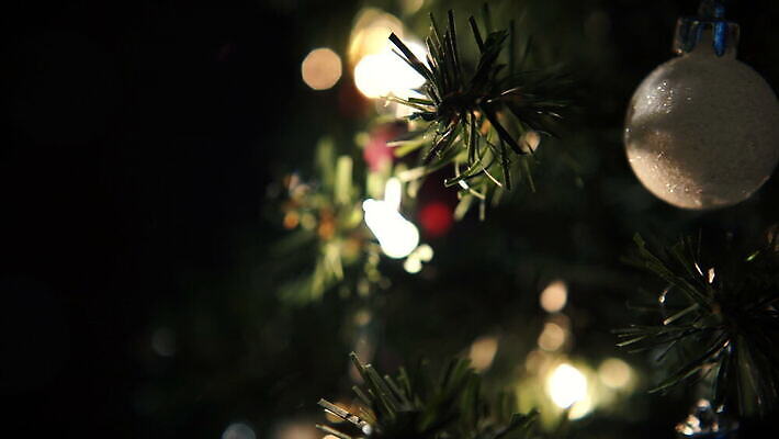 나무 계절 행복 백그라운드 무지개 크리스마스 모션 휴가 전등 조명 선물 사람없음 그래픽 장식 초록색 빛 축제 인사 소나무 닫기 12월 회전 광 필터 4K 깜빡이다 MOV 해외동영상 클립영상 자연요소 식물 기념일 감정 컬러 예절 날짜 동영상 파일형식