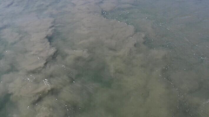 산업 바다 컨셉 사람없음 강 갈색 흐름 소용돌이 회오리 개울 수면 환경오염 오염 위생 위험 홍수 사회이슈 속도 생태계 질감 회전 먼지 태평양 진흙 문제 배수구 항공촬영 생태학 위기 잔물결 재앙 채널 폐수 하수 4K MP4 해외동영상 클립영상 교육 물결 뷰포인트 컬러 물 자연재해 동영상 파일형식