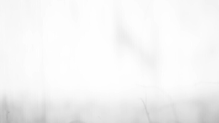 디자인 컬러 조각 백그라운드 추상 가면 미술 사람없음 초록색 빛 카메라 스크린 소리 손상 회색 수확 흰색 거친 낟알 입장 필름 영화 질감 복고 먼지 덮기 영사기 그런지 엘리먼트 옛날 효과 4K MOV 해외동영상 클립영상 컨셉 무늬 농업 모션 문화예술 전자제품 동영상 파일형식