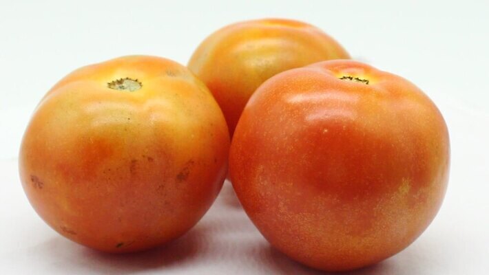 식물 1 길 클리핑패스 음식 컬러 조각 백그라운드 잎 농업 다이어트 토마토 채소 재료 자연 건강 사람없음 빨간색 초록색 활발 흰색 신선 그룹 정상 케첩 자르기 먹기 싱글 유기농 날것 비타민 내추럴 고립 구성 숙성 채식주의자 MOV 해외동영상 클립영상 웰빙 산업 컨셉 모션 소스_음식 생태계 채식 동영상 영양소 파일형식