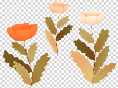 편집 편집이미지 꽃 잎 자연 누끼 사람없음 세송이 PNG 편집소스 식물 3 생태계 파일형식