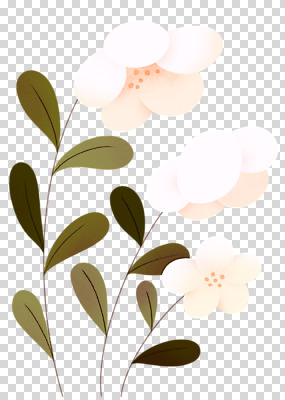 편집 편집이미지 꽃 잎 자연 누끼 사람없음 세송이 PNG 편집소스 식물 3 생태계 파일형식