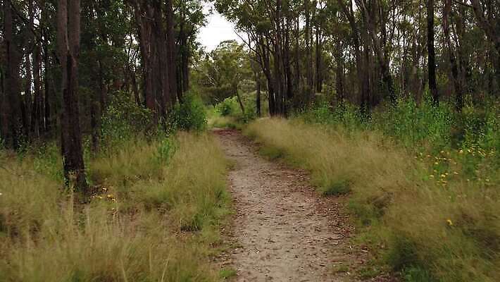 나무 도로 길 여행 자연 하늘 산 안테나 풍경 사람없음 야외 초록색 파란색 햇빛 갈색 환경 골짜기 계곡 흰색 호주 숲 땅 먼지 암초 동영상 드론 선로 4K MP4 해외동영상 클립영상 식물 컬러 통신 교통시설 태양 오세아니아 생태계 파일형식