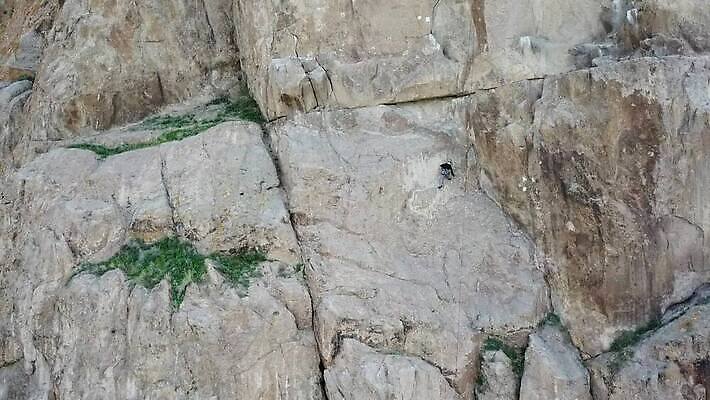 라이프스타일 남자 행복 밧줄 벽 스포츠 모션 자연 성공 산 기술 사람 취미 사람없음 야외 운동 힘 등산 하이킹 도전 정상 위험 결심 오르기 노력 암초 드론 산악가 카자흐스탄 자극 MP4 해외동영상 클립영상 감정 아시아 줄 컨셉 레저 건강 생활 트래킹 생태계 동영상 파일형식