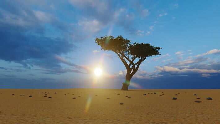 나무 식물 외관 공원 야생동물 모래 컬러 여행 백그라운드 아프리카 자연 하늘 휴가 산 손바닥 사람없음 야외 빨간색 파란색 맑음 미국 사막 흰색 황무지 만화 사파리 케냐 내추럴 아카시아 나미비아 사바나 전국 벡터 4K MOV 해외동영상 클립영상 동물 손 공공시설 나라 북아메리카 날씨 생태계 동영상 남아프리카 파일형식