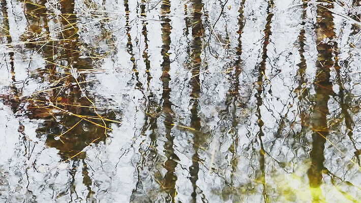 나무 식물 계절 호수 컬러 여행 백그라운드 자연 풍경 사람없음 야외 목재 물 컬러풀 반사 추위 가을 흰색 물방울 나뭇가지 시골 연못 원형 액체 개울 황금 떨어짐 숲 시력 러시아 에메랄드 웅덩이 청록색 내추럴 땅바닥 눈내림 환상 4K MOV 해외동영상 클립영상 자연요소 도형 유럽 컨셉 재료 바닥 눈_날씨 강 보석 생태계 동영상 파일형식