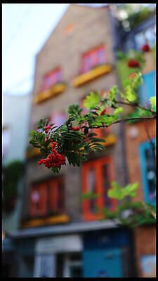 영어 유럽 여행 비즈니스 건축양식 교통시설 하늘 영국 잉글랜드 사람없음 건물 강 도시풍경 일몰 기차 도시 센터 역사 도심 전철 역 저녁 런던 도로표지판 튜브 지하 타운 스카이라인 랜드마크 수도권 MOV 해외동영상 클립영상 문자 건축물 건축 나라 도로 육상교통 교통 대중교통 풍경 노을 표지판 야간 시설 지역 동영상 파일형식