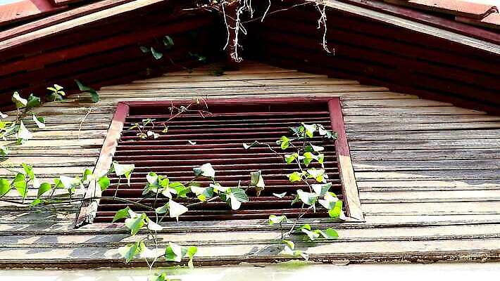나무 식물 디자인 꽃 벽 컬러 여행 백그라운드 잎 꽃무늬 건축양식 자연 하늘 표면 주택 사람없음 야외 건물 초록색 환경 금속 정원 힘 펼침 덮개 시골 잡초 버리기 질감 서식지 내추럴 프랑스어 넘어짐 생태학 어려움 판잣집 MP4 해외동영상 클립영상 문자 건축물 교육 건축 무늬 모션 재질 뚜껑 생태계 동영상 파일형식