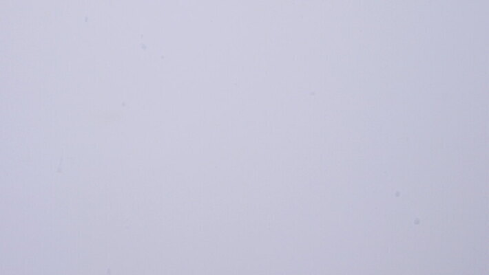 식물 디자인 음료 파도 컬러 백그라운드 잎 패턴 모션 자연 유리 건강 미술 사람없음 물 파란색 빛 컬러풀 뷰티 반사 환경 봄 거품 젖음 흰색 물방울 신선 투명 액체 떨어짐 이슬 질감 내추럴 고립 4K MOV 해외동영상 클립영상 자연요소 계절 바다 컨셉 무늬 재질 문화예술 생태계 동영상 파일형식