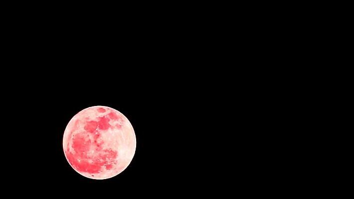 구름 꽃 실루엣 분홍색 과학 백그라운드 밭 자연 하늘 건조 초원 사람없음 빨간색 빛 장미 우주 어둠 침묵 새벽 할로윈 추위 수확 달 나뭇가지 시골 시간 혈액 야간 저녁 숲 가득함 부드러움 흙더미 비버 현상 호러 타임랩스 MP4 해외동영상 클립영상 자연요소 나무 식물 컬러 농업 촬영기법 소리 흙 감각 생태계 공포 동영상 파일형식 더미