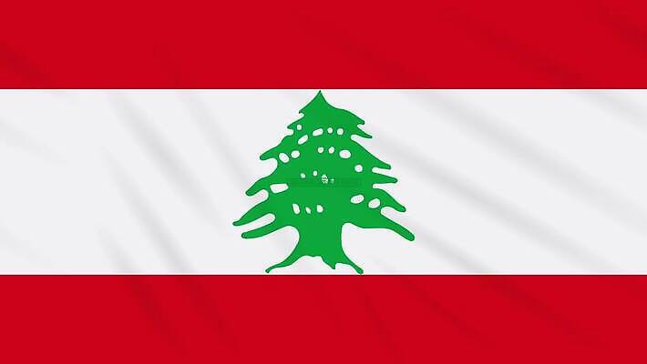 과학 백그라운드 건강 사람없음 치료 초록색 약 자유 깃발 고리 바이러스 질병 디지털합성 예방 생물학 감염 미생물 애니메이션 우표 그런지 돌리기 백신 부정적 삼나무 전염병 증상 치유 항생제 사스 코로나바이러스 4K MOV 해외동영상 클립영상 나무 교육 감정 컬러 컨셉 의학 모션 생물 동영상 파일형식