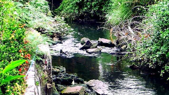 식물 디자인 지구 벽 백그라운드 컨셉 패턴 밭 자연 표면 날씨 건조 풍경 사람없음 야외 물 여름 글로벌 태양 갈색 환경 흙 가을 바위 시골 거친 오염 균열 야간 댐 부식 질감 운하 점토 진흙 가뭄 유지 낭비 내추럴 그런지 깨짐 땅바닥 생태학 MP4 해외동영상 클립영상 자연요소 계절 공공시설 교육 컬러 무늬 농업 모션 바닥 돌_바위 생태계 동영상 파일형식
