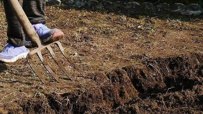 식물 1 밭 농업 채소 자연 노동자 사람 취미 사람없음 야외 농장 정원 흙 봄 장비 성장 공구 시골 업무 농부 삽 준비 원예 먼지 내추럴 땅바닥 땅파기 밭일 양발 원예사 조작 파종 MOV 해외동영상 클립영상 직업 계절 산업 바닥 농사 도구 작업 생태계 동영상 파일형식