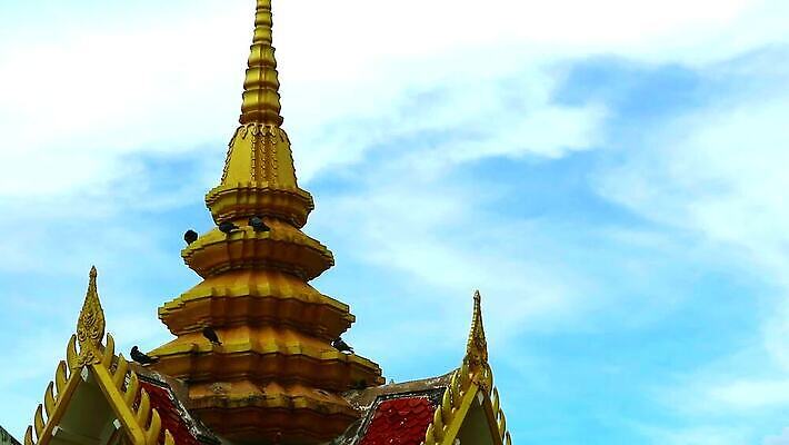 동물 아시아 종교 문화 조각 여행 불교 건축양식 태국 자연 조류 하늘 휴식 서기 동양인 사람없음 건물 여행객 탑 자유 도시 잠 사찰 역사 황금 정상 심볼 폐허 비둘기 신성 랜드마크 사리탑 숭배 옛날 MP4 해외동영상 클립영상 건축물 건축 나라 컨셉 종교건축 모션 사람 인종 생태계 동영상 파일형식